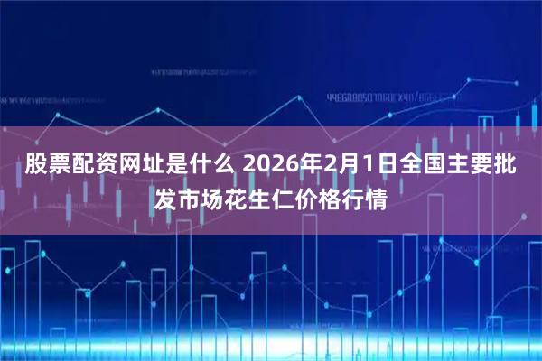 股票配资网址是什么 2026年2月1日全国主要批发市场花生仁价格行情